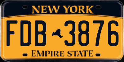 NY license plate FDB3876