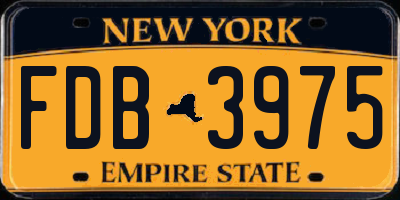 NY license plate FDB3975