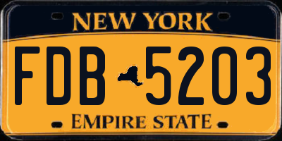 NY license plate FDB5203