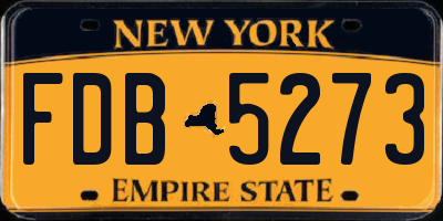 NY license plate FDB5273