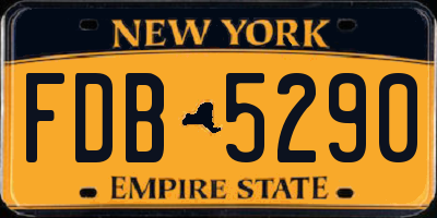 NY license plate FDB5290