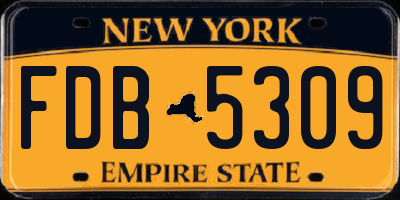 NY license plate FDB5309