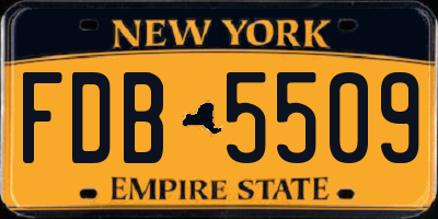NY license plate FDB5509