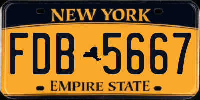 NY license plate FDB5667