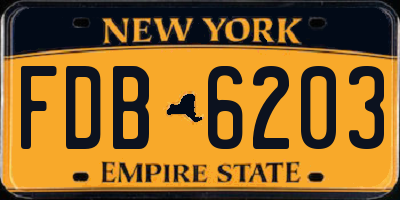 NY license plate FDB6203