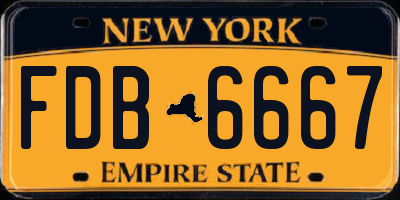 NY license plate FDB6667