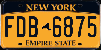 NY license plate FDB6875
