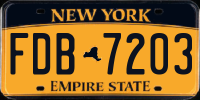 NY license plate FDB7203