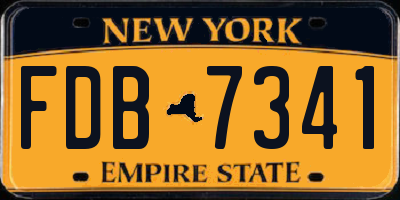 NY license plate FDB7341