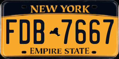 NY license plate FDB7667