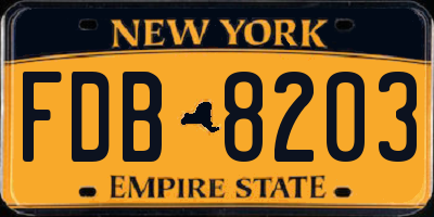 NY license plate FDB8203
