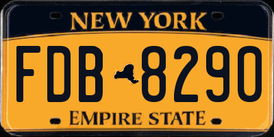 NY license plate FDB8290