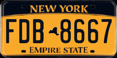 NY license plate FDB8667