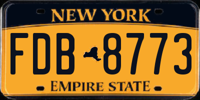 NY license plate FDB8773