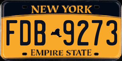 NY license plate FDB9273