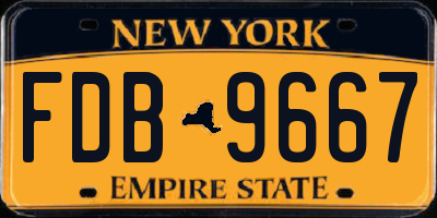 NY license plate FDB9667