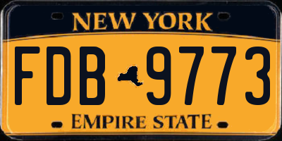 NY license plate FDB9773