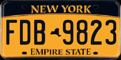 NY license plate FDB9823