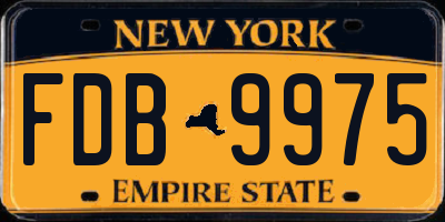 NY license plate FDB9975