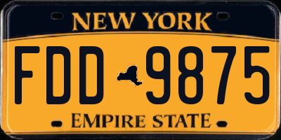 NY license plate FDD9875
