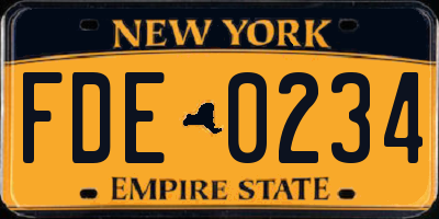 NY license plate FDE0234