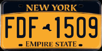 NY license plate FDF1509