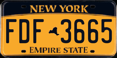 NY license plate FDF3665