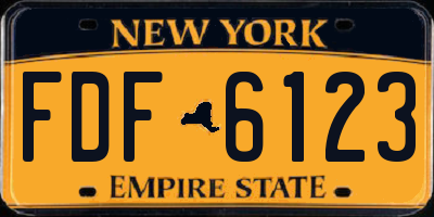 NY license plate FDF6123