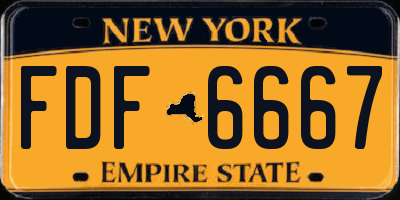 NY license plate FDF6667