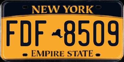 NY license plate FDF8509