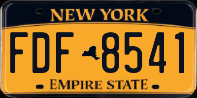 NY license plate FDF8541