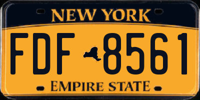 NY license plate FDF8561