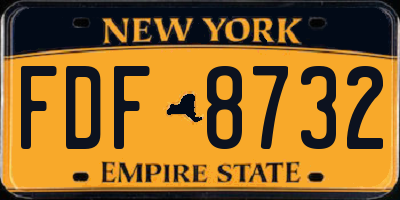 NY license plate FDF8732