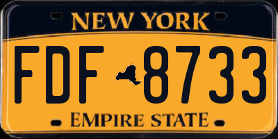 NY license plate FDF8733