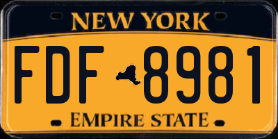 NY license plate FDF8981