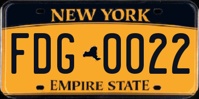 NY license plate FDG0022