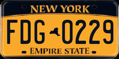 NY license plate FDG0229
