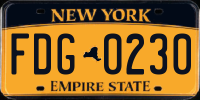 NY license plate FDG0230