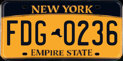 NY license plate FDG0236
