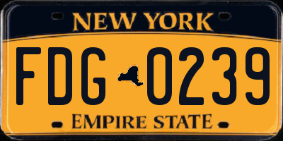 NY license plate FDG0239