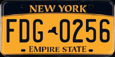 NY license plate FDG0256