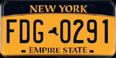 NY license plate FDG0291
