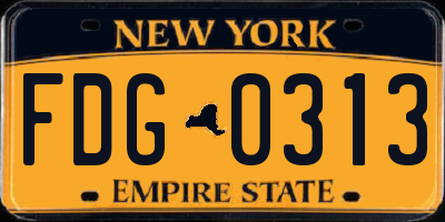 NY license plate FDG0313