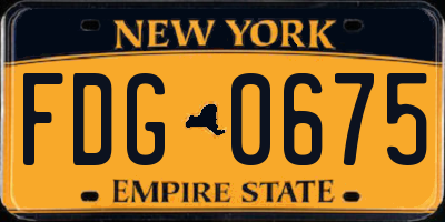 NY license plate FDG0675