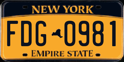 NY license plate FDG0981