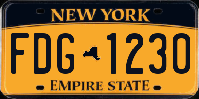 NY license plate FDG1230