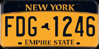NY license plate FDG1246