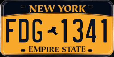 NY license plate FDG1341