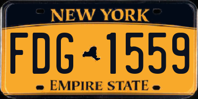 NY license plate FDG1559