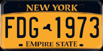 NY license plate FDG1973